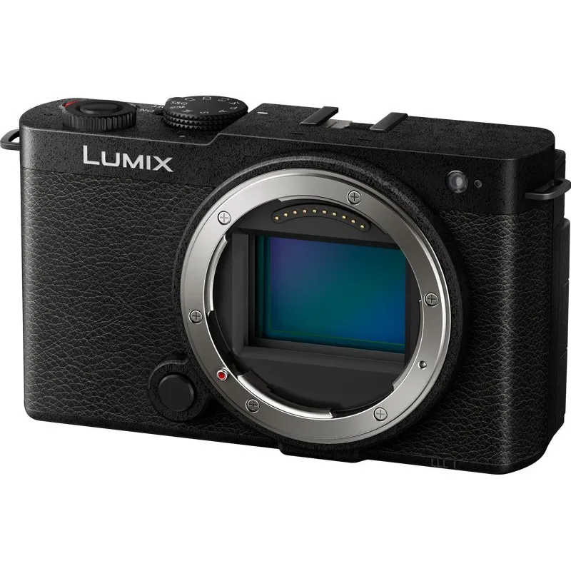 Aparat Panasonic Lumix S9 czarny (DC-S9E-K)